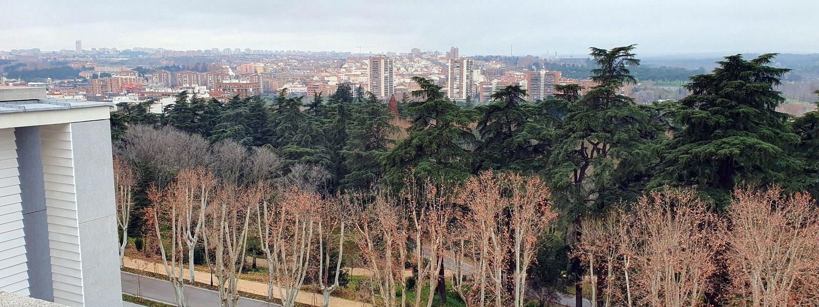 Plaza del Armeria 2024