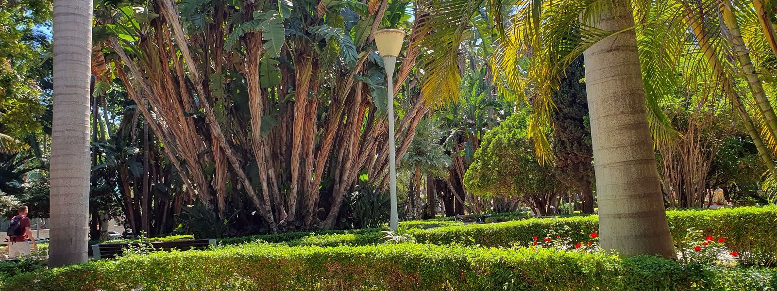 Malaga Parque de Malaga 2025