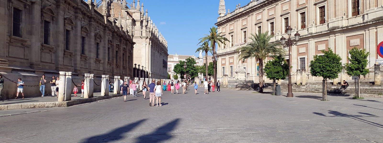Sevilla Kathedrale  2025