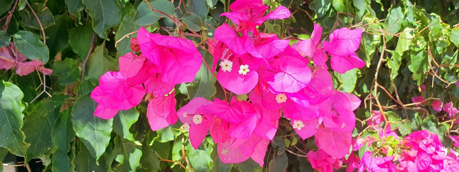 Sesimbra Stadt und Burg 2023