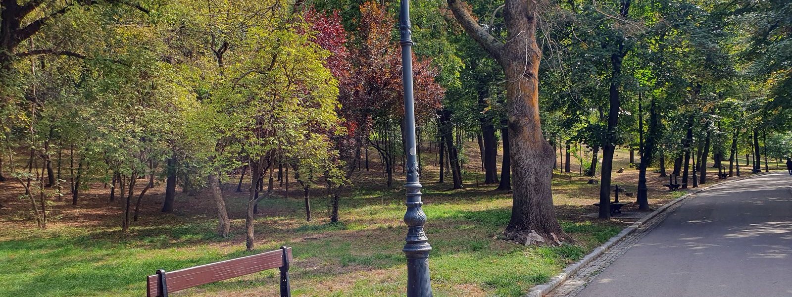 Craiova Parcul Nicolae Romanescu 2024