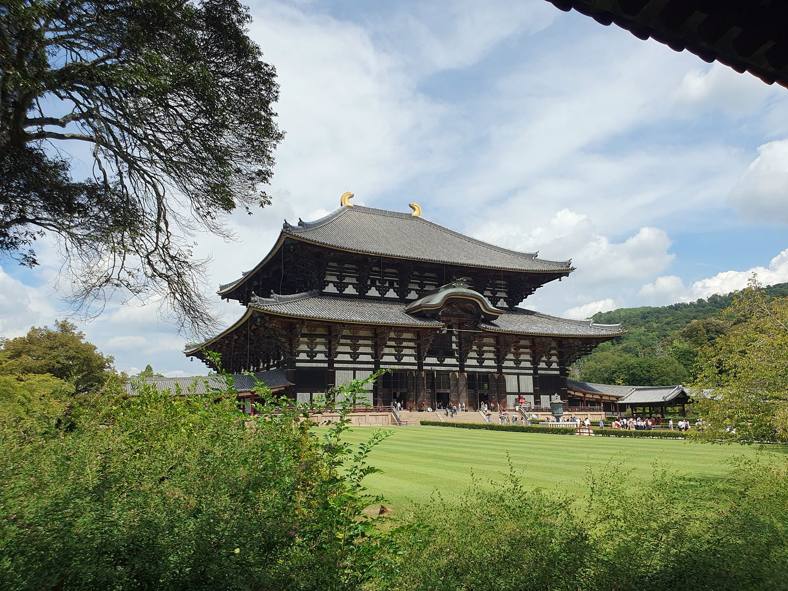 Video - Nara Tempel 2025