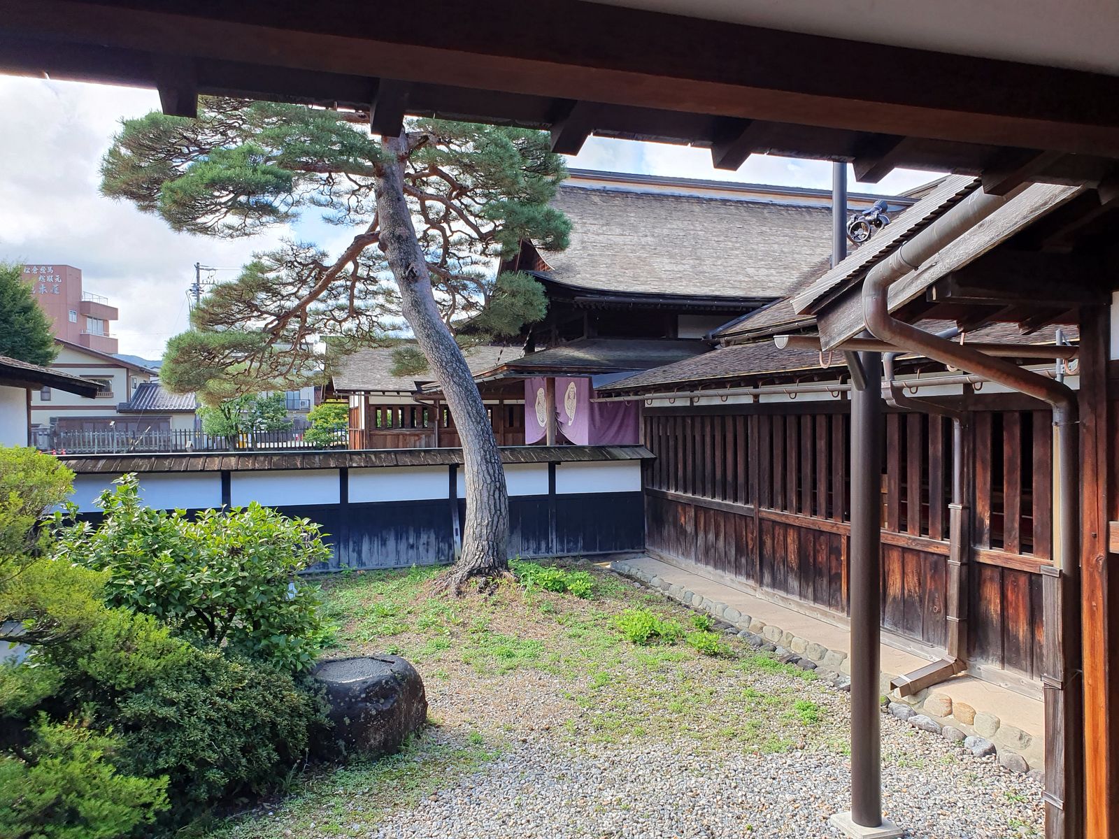 Video - Takayama Museum 2025