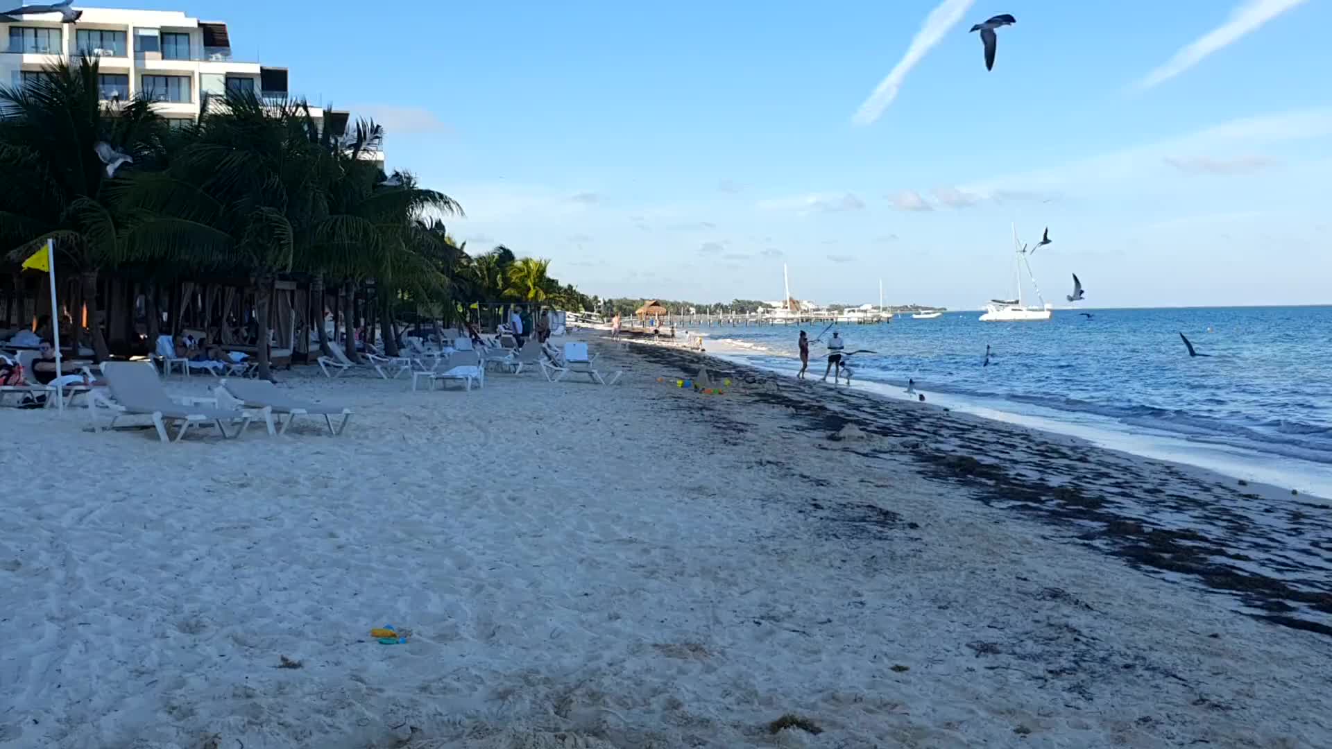 Video - Am Strand 2025