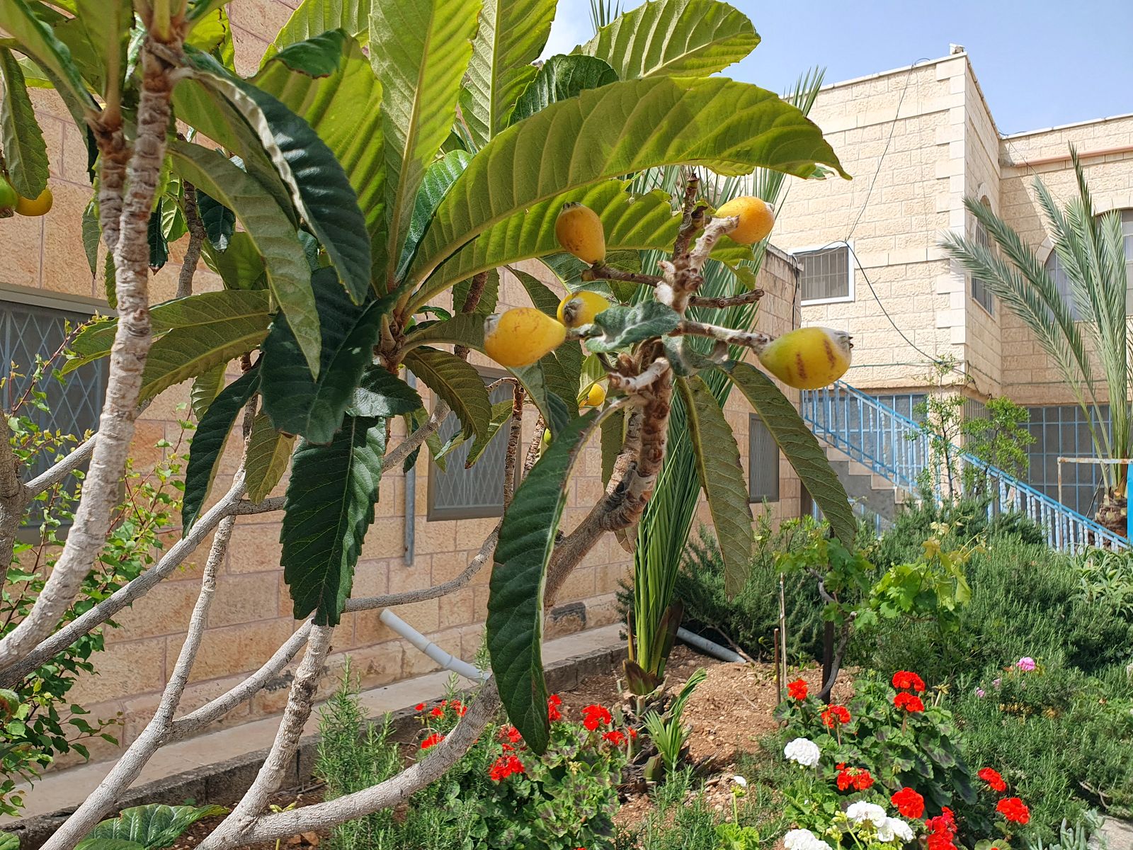 Monastery of St.Theodosius