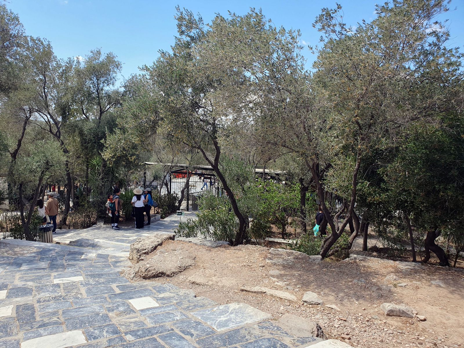 Video Athen Akropolis 2024