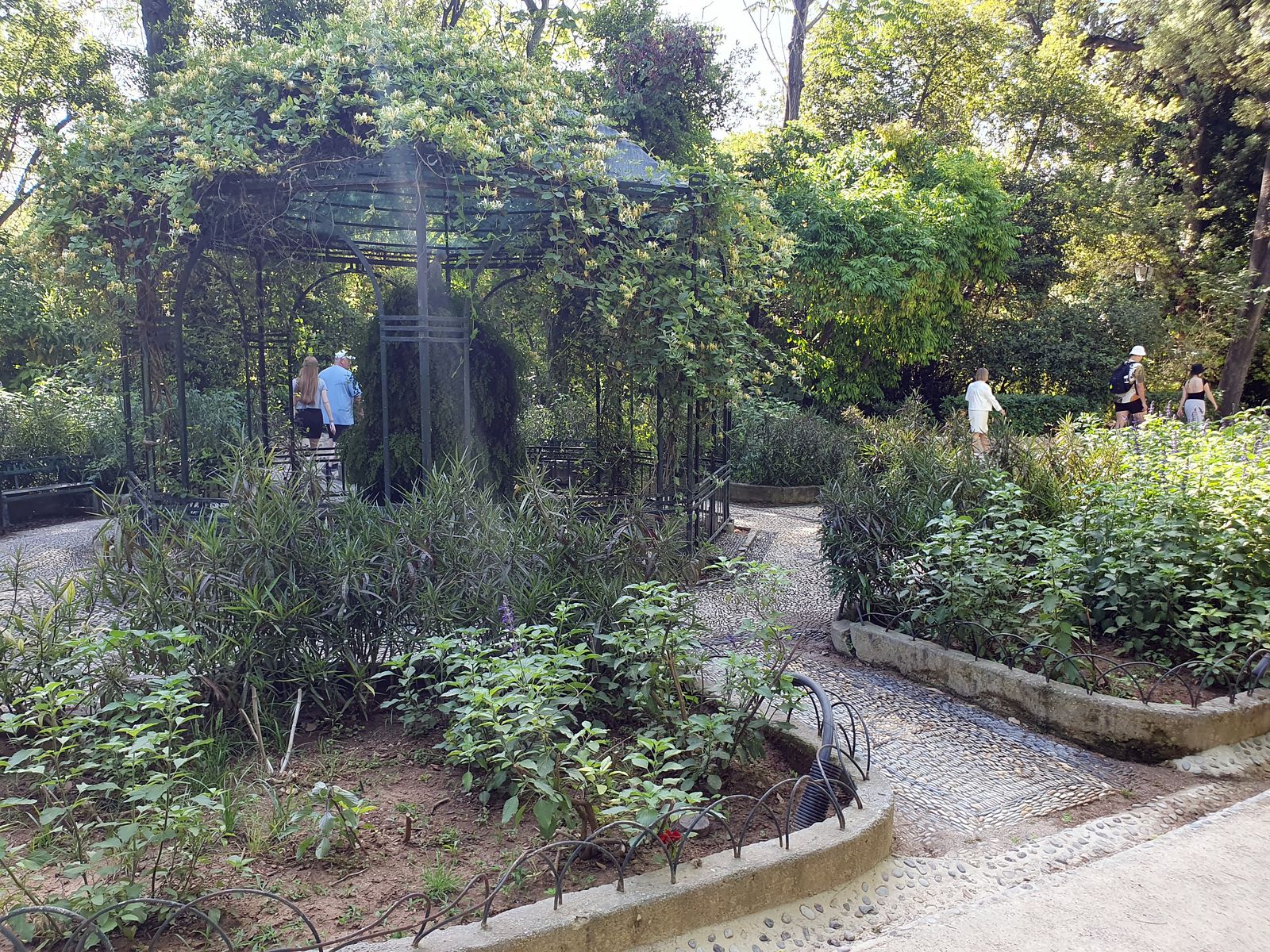 Video Athen National Garden 2024